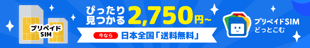 プリペイドSIMどっとこむ